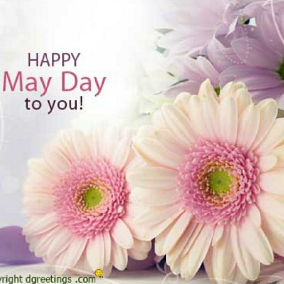 🦋Happy Memorial Day🌺Wishing U Many Sales🛍🦋💯🌻 - Picture 10 of 16